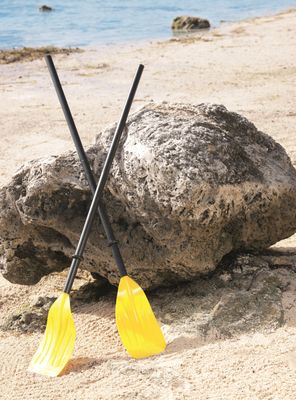 Imagen 2 del producto Remos de 1.24 mt Bestway