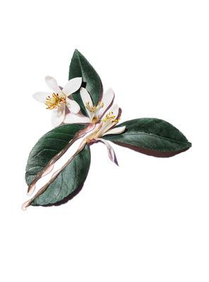 Imagen 2 del producto Crema Yves Saint Laurent Pure Shot Perfect Plumer