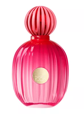 Set Perfume The Icon EDP Mujer 100 ml + 24h Desodorante Spray 150 ml