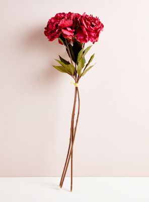 Ramo 3 Peonías Fucsia 79 cm