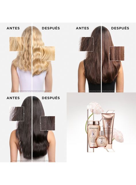 Shampoo Efecto Gloss Cabello con Tendencia Al Frizz Gloss Absolu Bain Hydra-Glaze 80ml-3