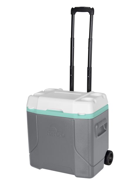 Cooler Igloo Profile R 30 Qt Gris-0