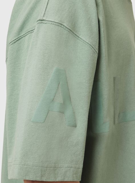 Polera Biggy SS Crew-3
