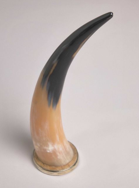 Adorno Cuerno Terra 36 cm-1