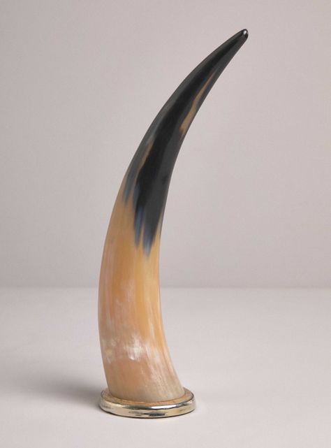 Adorno Cuerno Terra 36 cm-0