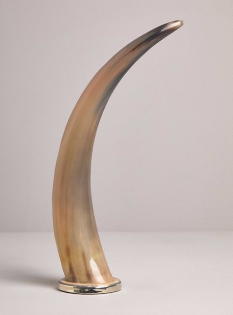 Adorno Cuerno Terra 48 cm-0