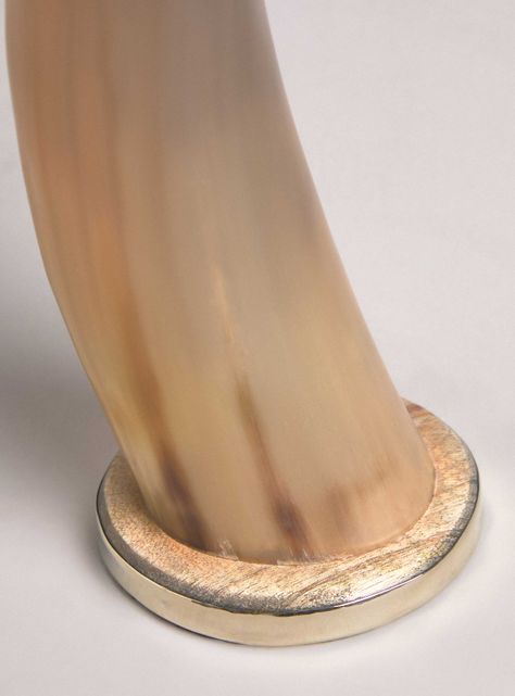 Adorno Cuerno Terra 48 cm-2