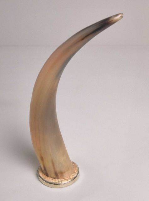 Adorno Cuerno Terra 48 cm-1