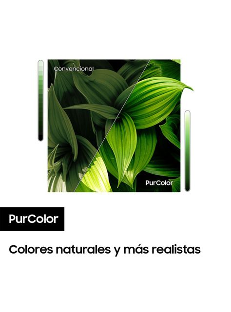 LED 43" T5203 FHD Smart TV 2024-6
