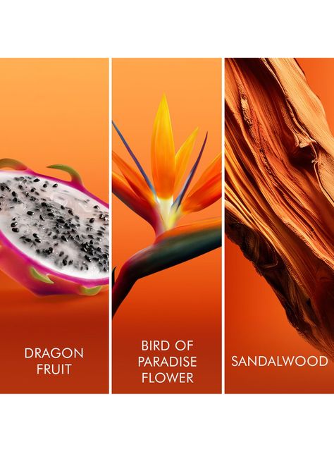 Perfume Escada Bali Paradise EDT Mujer 100 ml-2
