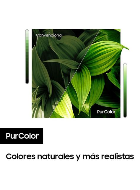 LED 32" T4202 HD Smart TV 2020-4