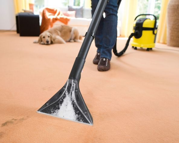Aspiradora lava alfombras 1400W SE4001-10