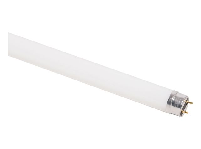Tubo LED 8W T8 luz fría 60 cm Ecofit Philips-1
