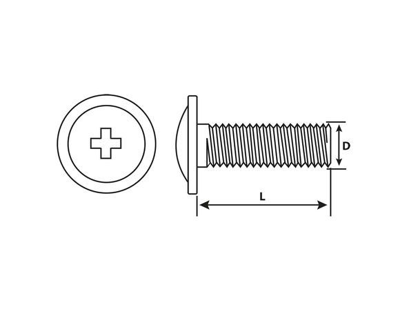 Perno cabeza lenteja M4 x 20 y 30 mm Zincado brillante 4 unidades-3