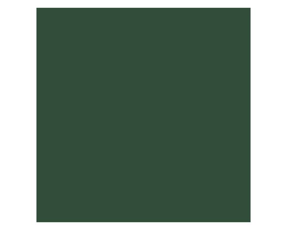 Pintura spray 340 ml Fusion 5X verde musgo mate-1
