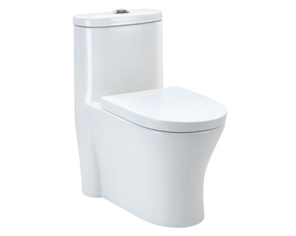 One piece 30 cm Dual flush Atenas Vessanti-0
