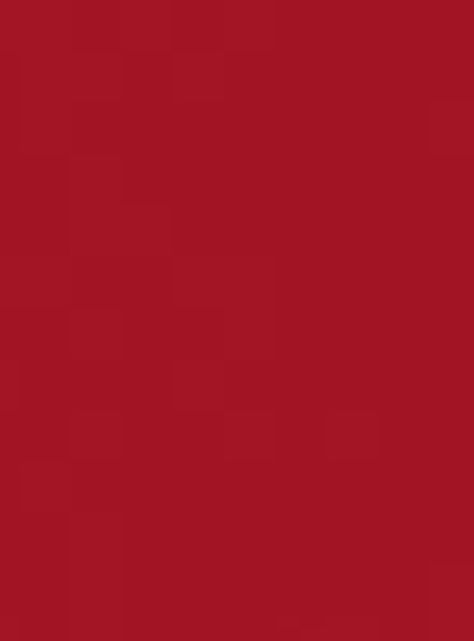 Rouge Dior Barra de Labios 999 Matte 3.2gr-3