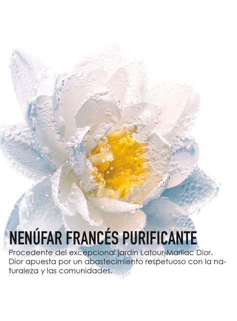 Leche Limpiadora con Nenúfar Blanco Francés Purificante 200 ml-5