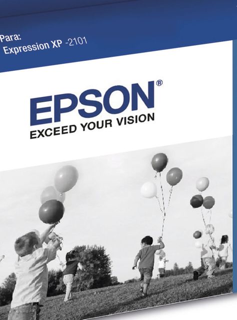 Tintas Epson Negro 206 T206120-AL-1