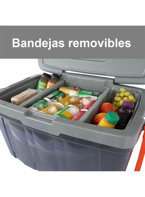 Cooler Térmico con Ruedas 54 Litros Gris Verde-3