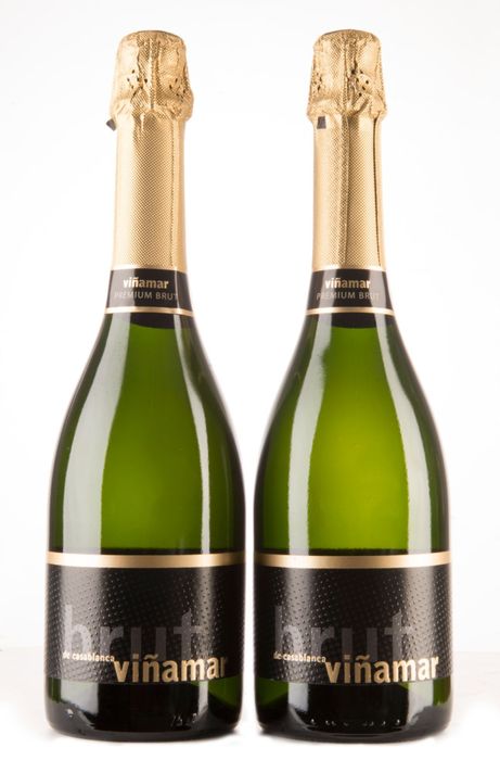 Pack Viñamar 2 Espumantes Brut-0