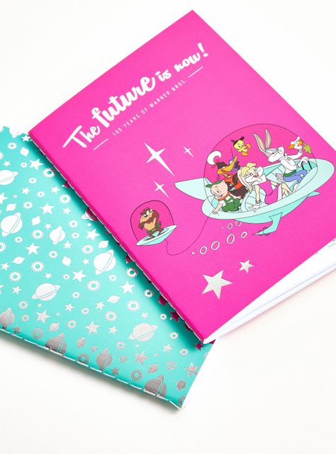 Set de Accesorios Pack 2 Libretas Warner Bros. 2 Piezas-2
