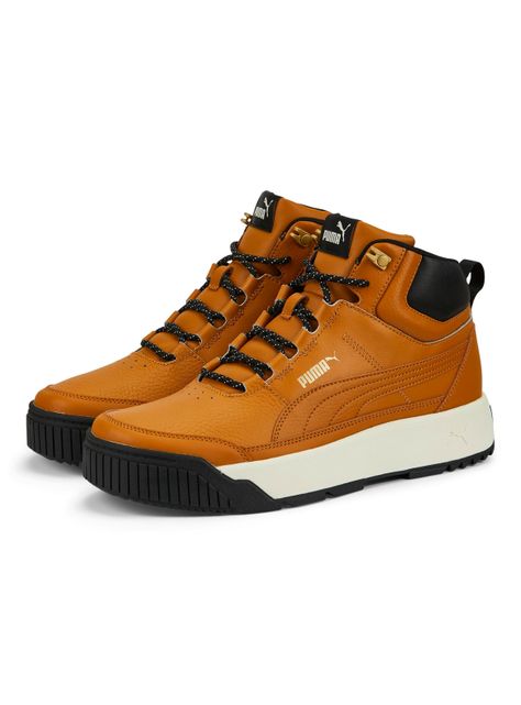 Zapatilla Urbana Tarrenz SB II Hombre-2