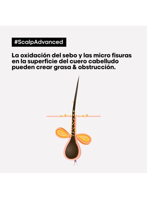 Shampoo Limpieza Profunda Cabello Graso Scalp Advanced 500ml-3