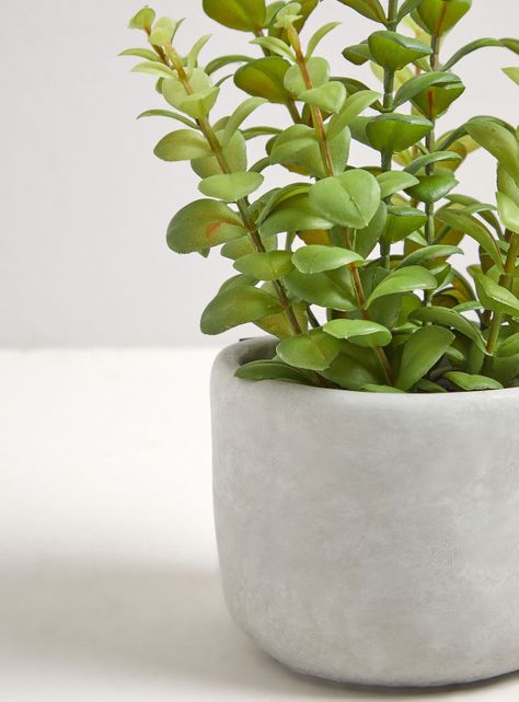 Planta Leaves 13 x 30 cm-2