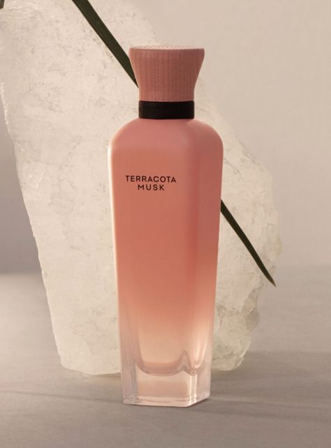 Perfume Adolfo Domínguez Agua Fresca Terracota Musk EDP 120ml-4
