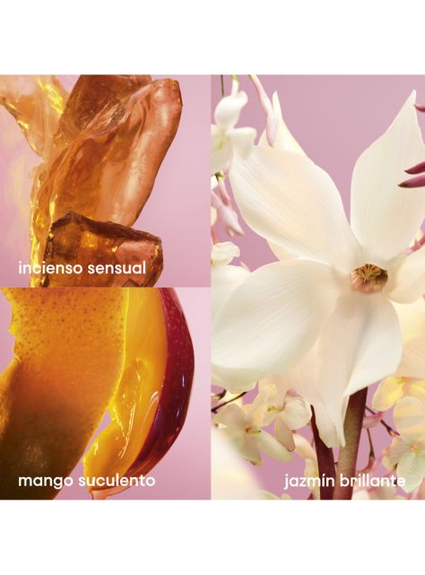 Perfume Fame Blooming Pink EDP Refillable Mujer 80 ml-3