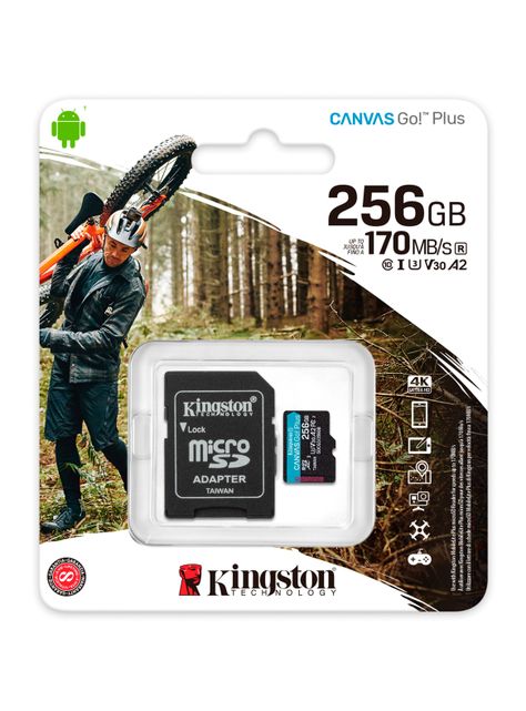 Memoria MicroSD Go Plus 256GB-1