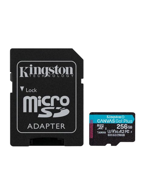 Memoria MicroSD Go Plus 256GB-0