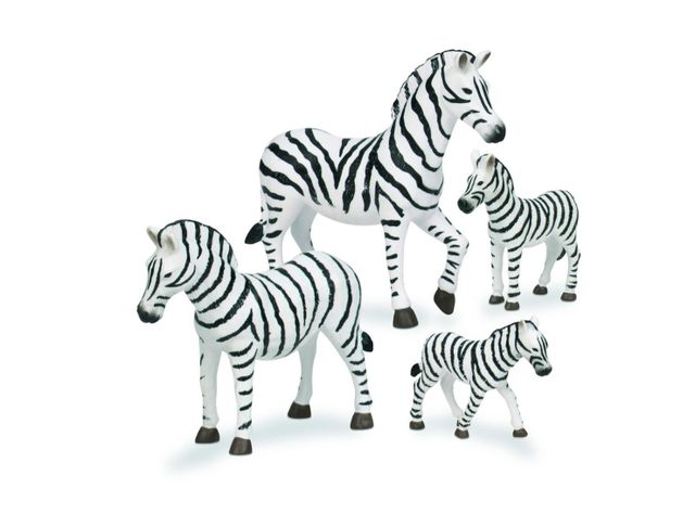 Terra Familia de zebras Caramba-0