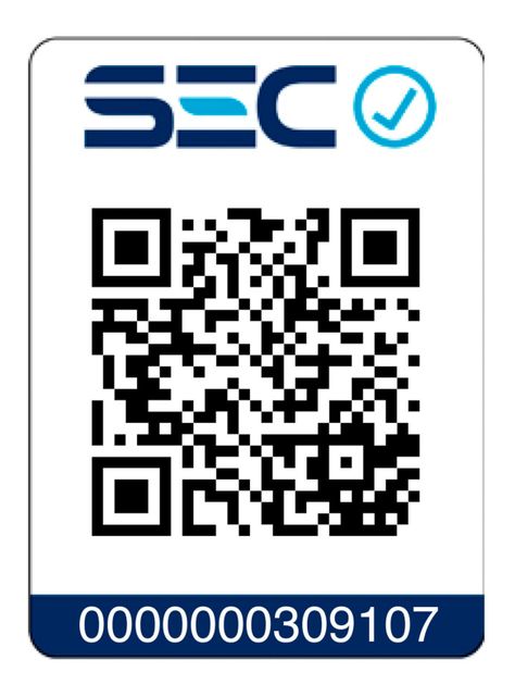 Alisador de Pelo SG-4751-4