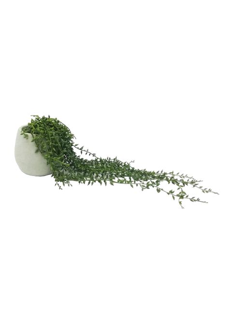 Planta Alaniz Home Suculenta Colgante 43.18 cm-0
