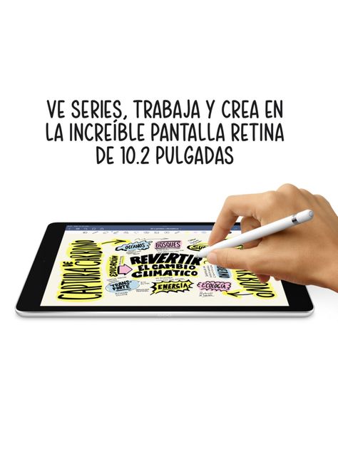 iPad 10.2" de 9° Generación Wi-Fi 256GB Color Gris Espacial-6