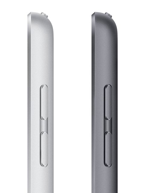 iPad 10.2" de 9° Generación Wi-Fi 256GB Color Gris Espacial-4