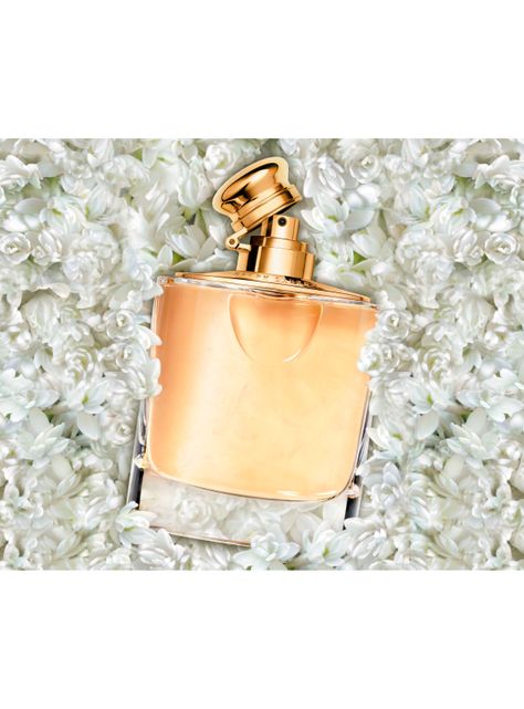 Perfume Ralph Lauren Mujer EDP 50 ml-3