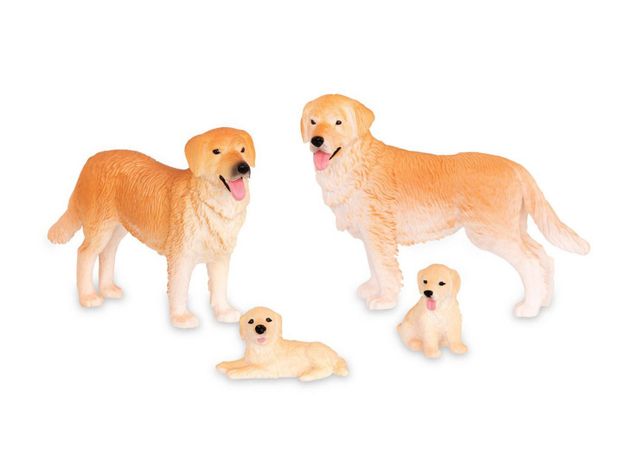 Terra Familia de Perros Caramba-1