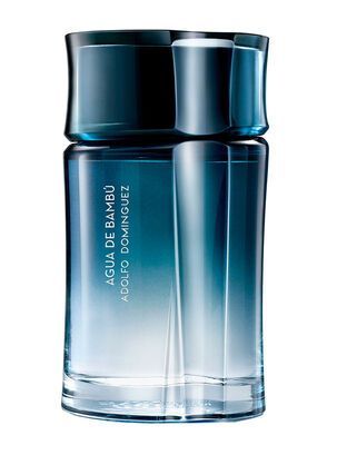 Perfume Adolfo Domínguez Agua Bambú Hombre EDT 120 ml-0