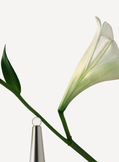 Perfume Issey Miyake L'Eau D'Issey Pour Femme Mujer EDT 100 ml-4