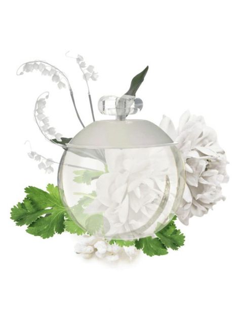 Perfume Noa EDT Mujer 30 ml-1