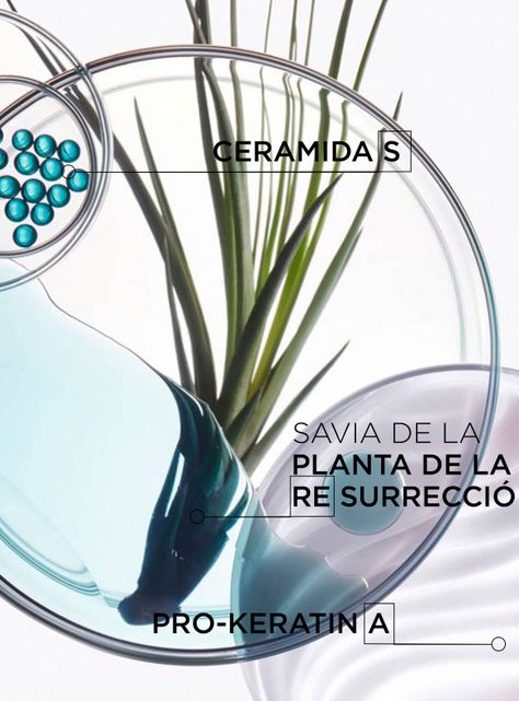 Set Cabello Debilitado Resistance Shampoo Bain Force Architecte 250 ml + Máscara Masque Force Architecte 200 ml-1