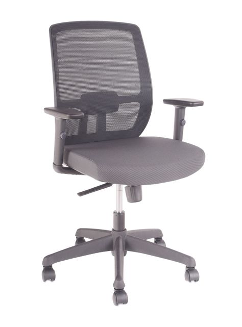 Silla Basflex Ejecutiva Lotus-0