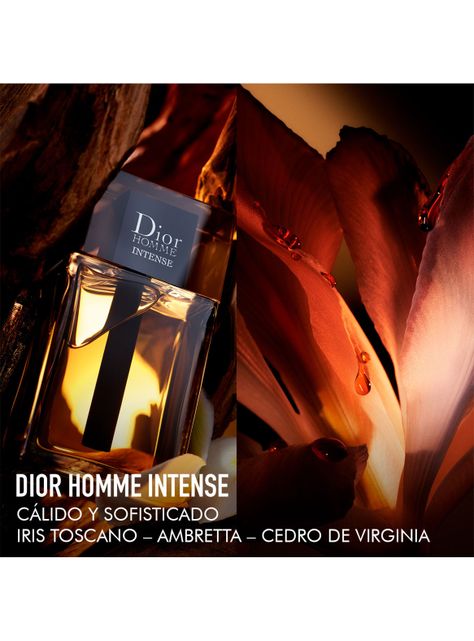 Perfume Homme Intense EDP Hombre 100ml Dior-2
