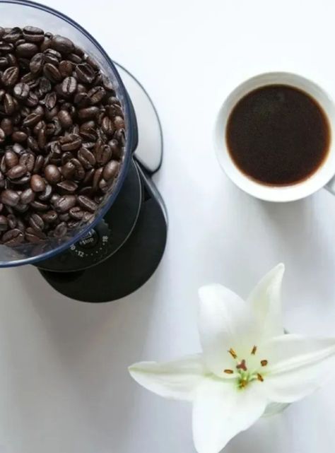 Molinillo de Café 18 Ajustes + Accesorios BVSTBMH23-4