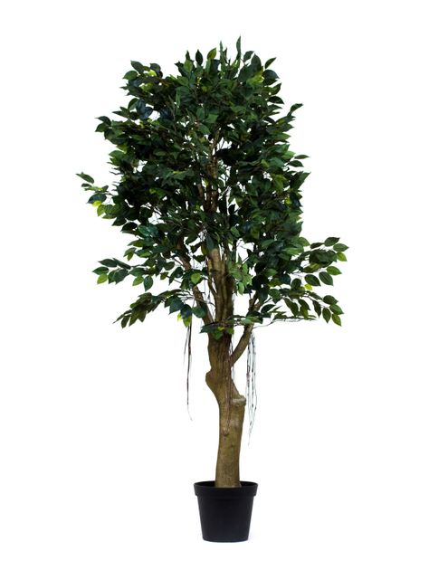 Árbol The Garden Ficus 190 cm-0