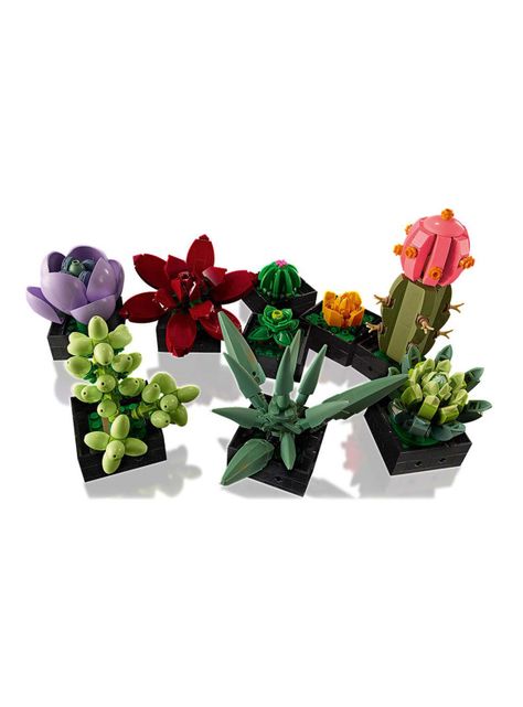 Juguete Lego Suculentas-2
