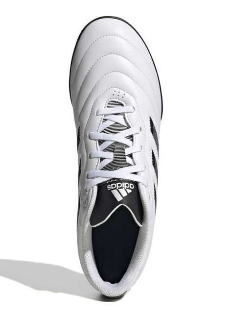Zapatilla de Fútbol Goletto Viii Tf  Unisex-3